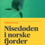 forside-illustrasjon