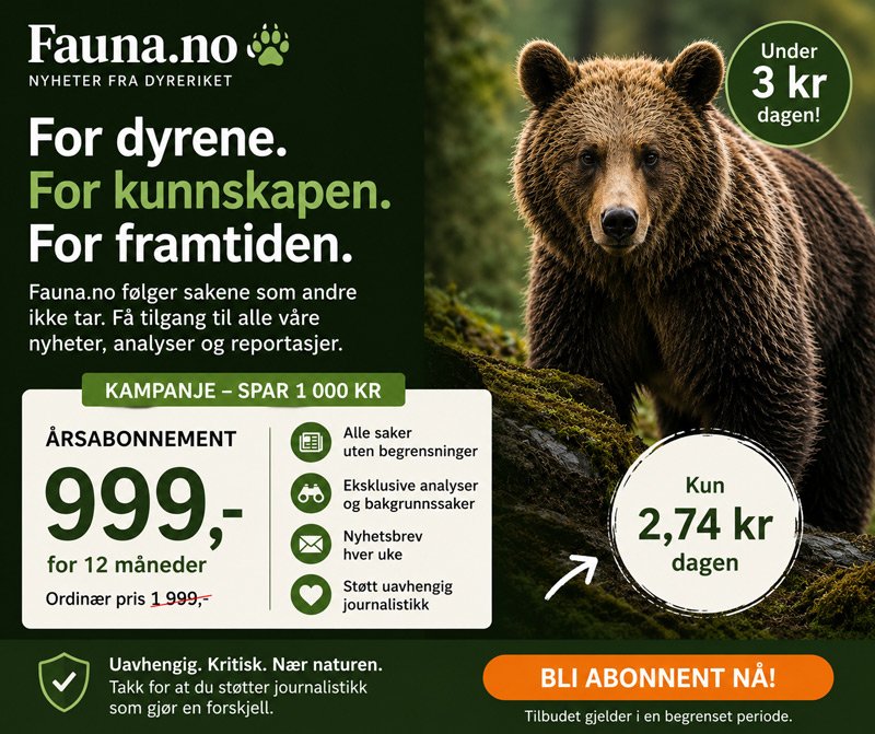 Fauna.no – årsabonnement 999 kroner for 12 måneder