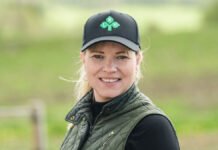 Forventer én millioner villsvin i 2030