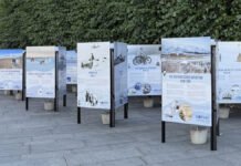 Oslo blir Antarktis i august