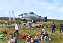 Nå slår det tilbake på lakselordene i elvene